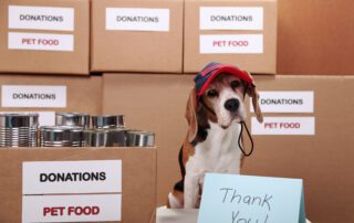 social housing uk property network live